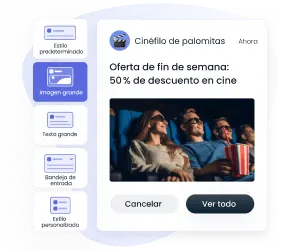 Formatos de notificación diversos